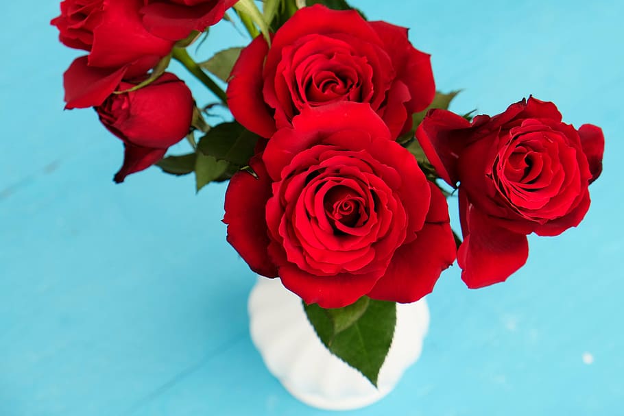 selective, focus photo, red, roses, white, ceramic, vase, rose, flower, garden