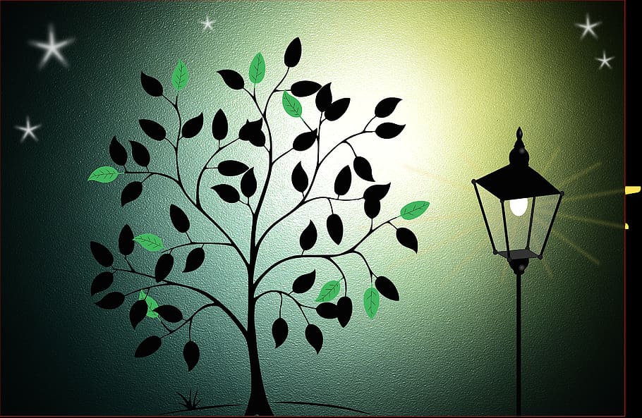 background, evening sky, night sky, lantern, tree, star, lighting equipment, illuminated, wall - building feature, electric lamp