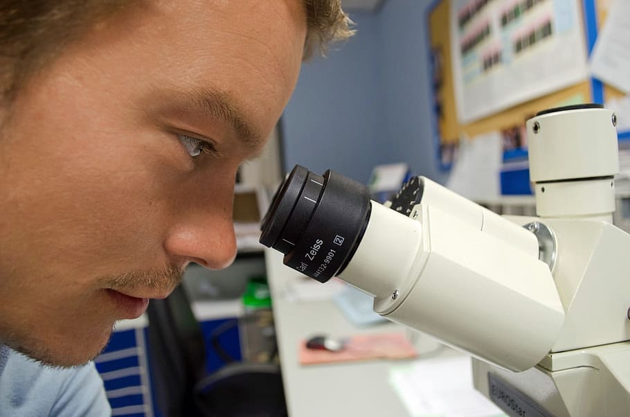 foto, homem, olhando, microscópio, pessoas, cientista, branco, química, microscopia, caro
