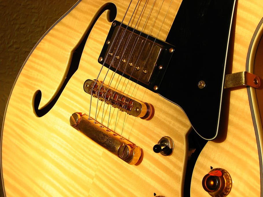 brown, black, electric, Guitar, Sonar, F-Hole, Gold, golden yellow, instrument, strings
