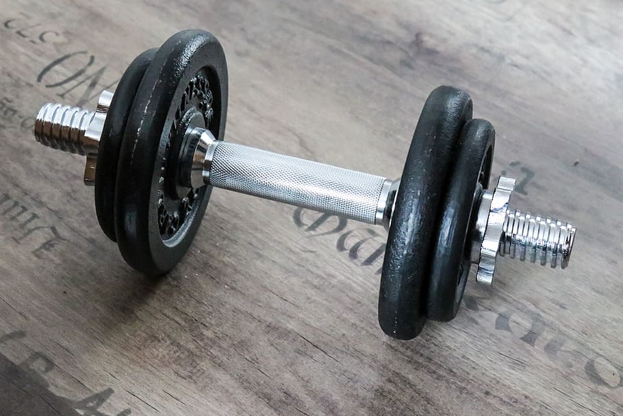 dumbbell, weight, fitness, strength training, muscles, gym, power sports, weight training, weights, muscular build