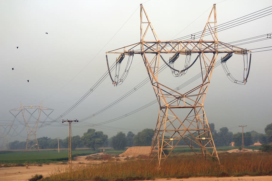 electric, pylon, voltage, wires, morning, trees, fog, birds, landscape, pakistan