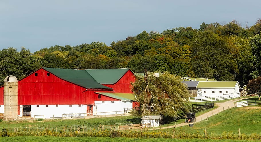 panoramic, houses, ohio, farm, red, barn, buildings, house, home, silo