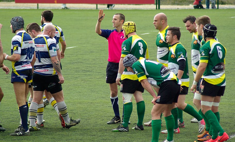 rugby, referee, lawn, sport, soccer, team sport, group of people, athlete, soccer field, sports clothing