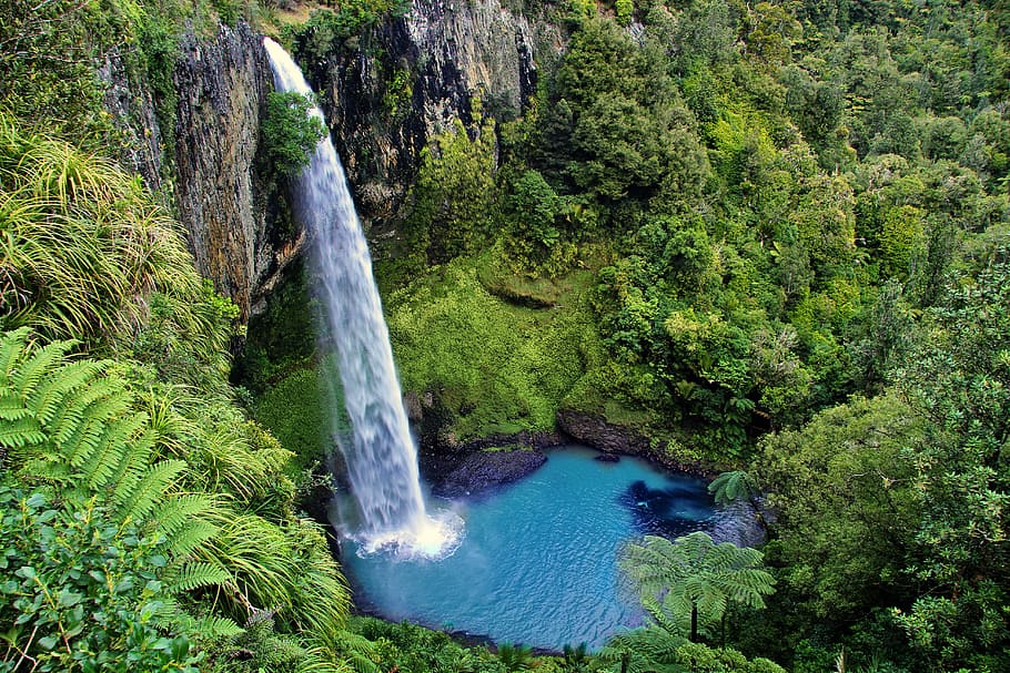 물 가을, 중간, 정글, 낮, 신부 베일 가을, 뉴질랜드, 폭포, 자연, 북섬, 녹색