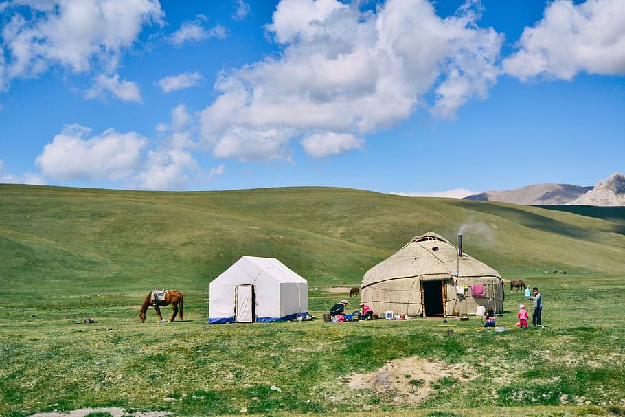 white, gray, tent, daytime, nature, plains, mountains, hills, grasslands, horse