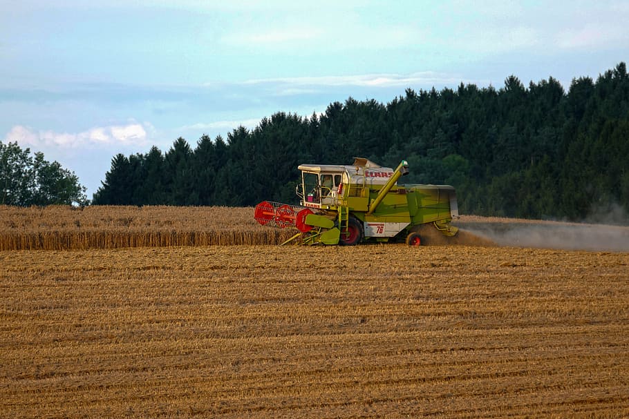 ladang jagung, menggabungkan pemanen, panen gandum, pertanian, panen, biji-bijian, garapan, ladang gandum, lanskap, pemandangan pedesaan