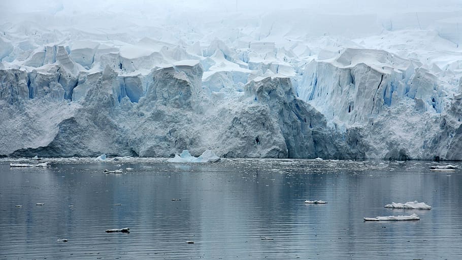 gunung es, badan, air, siang hari, badan air, teluk paradice, antarctica, gletser, refleksi, es