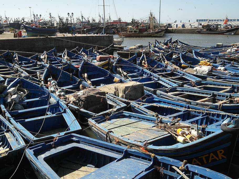 canoas azules, barcos, marruecos, essaouira, barcos en el puerto, costa, embarcación náutica, atracado, transporte, puerto