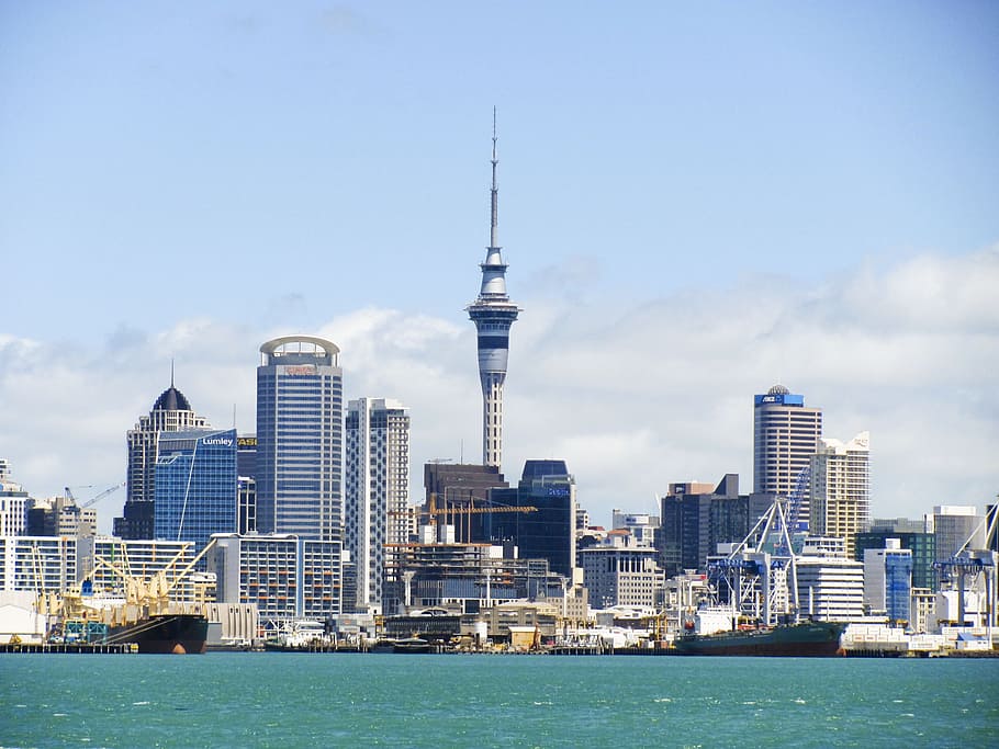 landscape photo, high, rise buildings, New Zealand, Skyline, Auckland, sky tower, tower, kiwi, urban Skyline