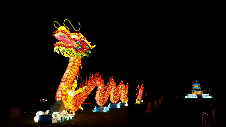 fotografia, Marco do dragão, noite, dragão, lanterna, chinês, decoração, lâmpada, festival, oriental