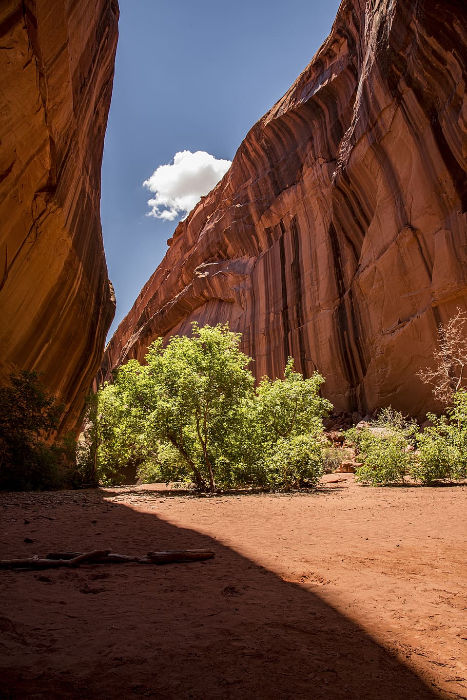 cañón, roca roja, piedra arenisca, naturaleza, cañón de neón, escénico, al aire libre, utah, paisaje, suroeste