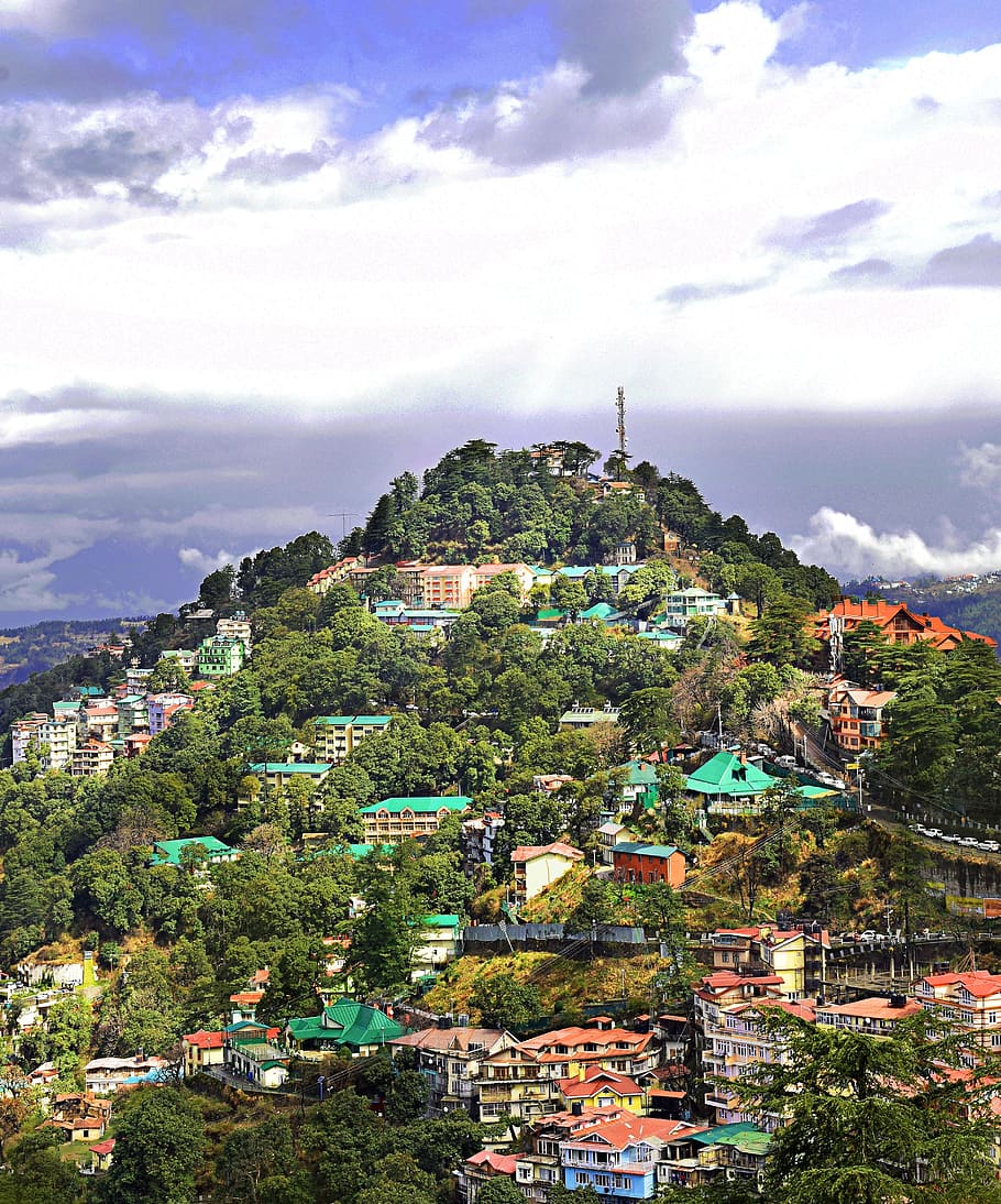 shimla, hills, asia, travel, himachal, nature, tourism, sky, landscape, tree
