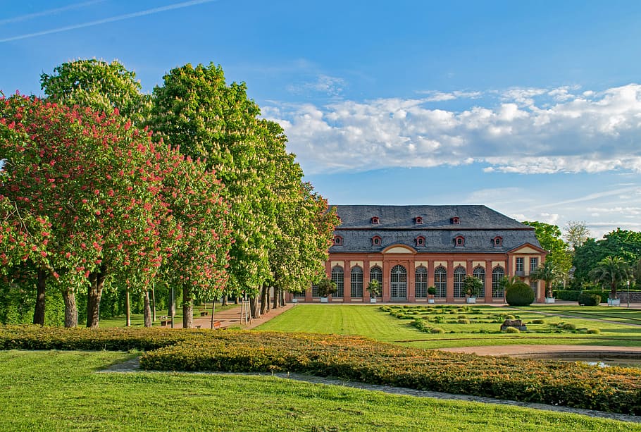 Orangery, Architecture, Trees, Blossom, bloom, places of interest, building, darmstadt, hesse, germany