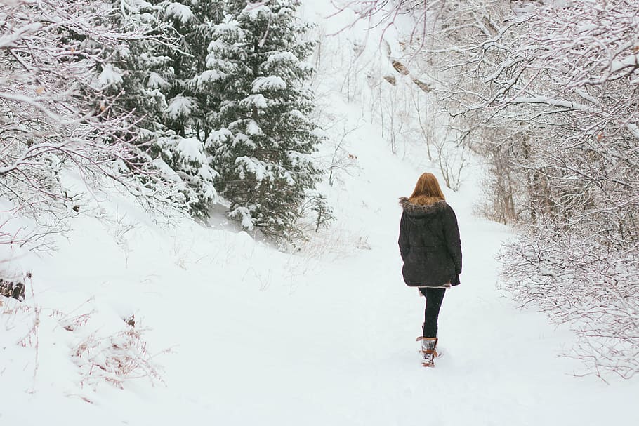mujer, para caminar, bosque, cubierto, nieve, invierno, montaña, colinas, paisaje, aventura