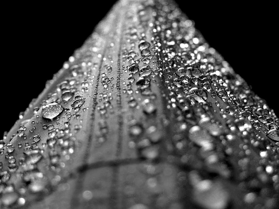 macro photography, black, water droplets, surface, water, drops, droplets, rain, liquid, bubble
