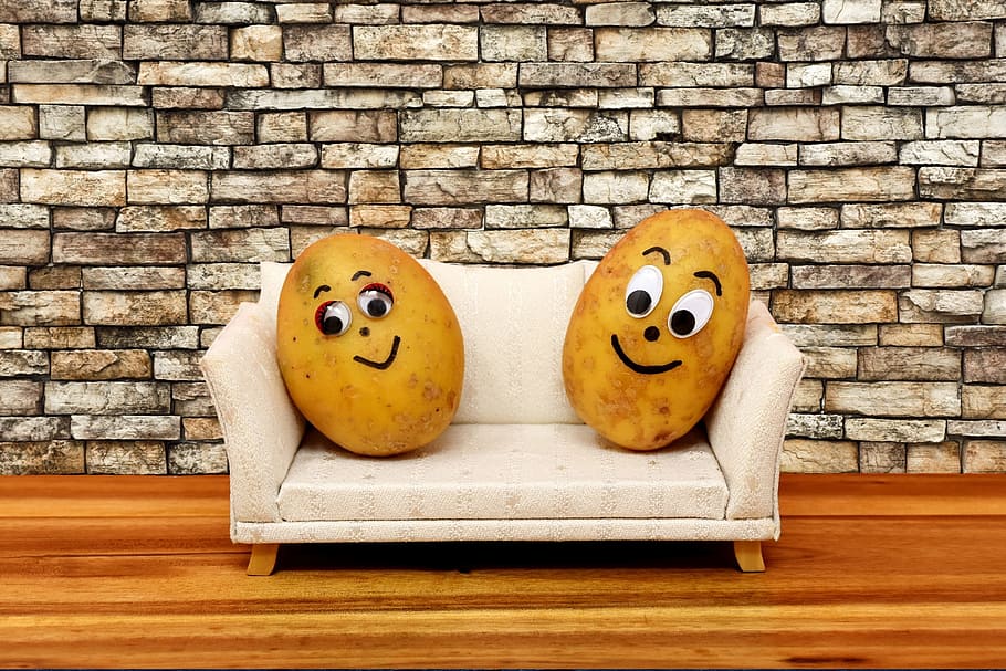 two, potatoes, couch, couch potatoes, funny, lazing around, sofa, cute, faces, pair