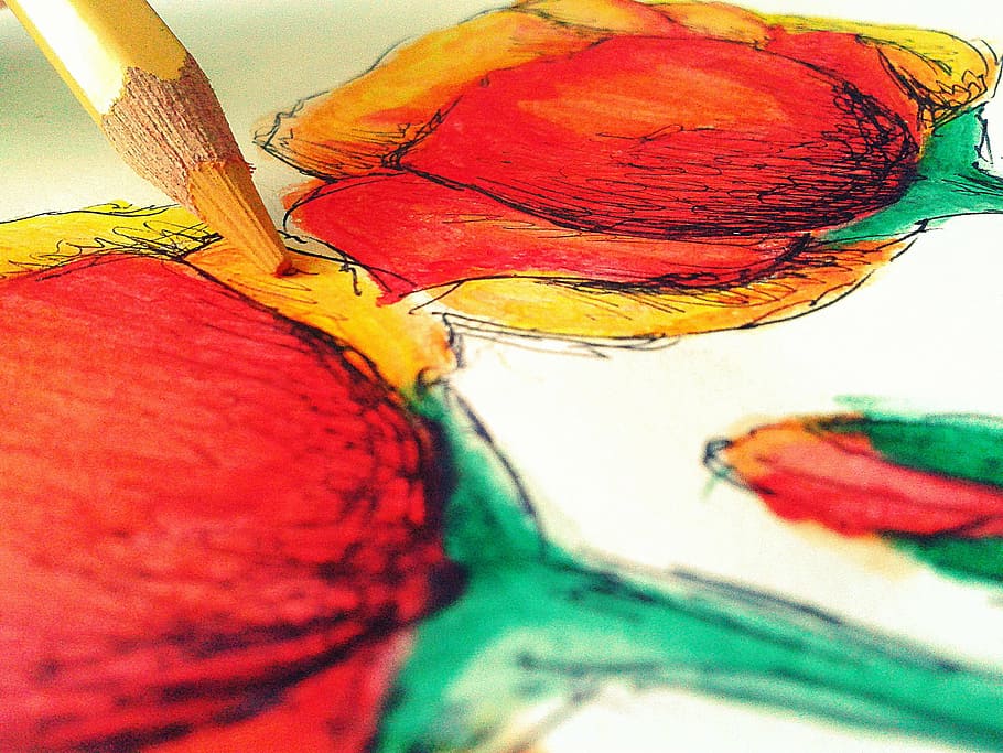 drawing, art, flowers, pencil, colors, paint, painted Image, multi Colored, illustration, drawing - Art Product