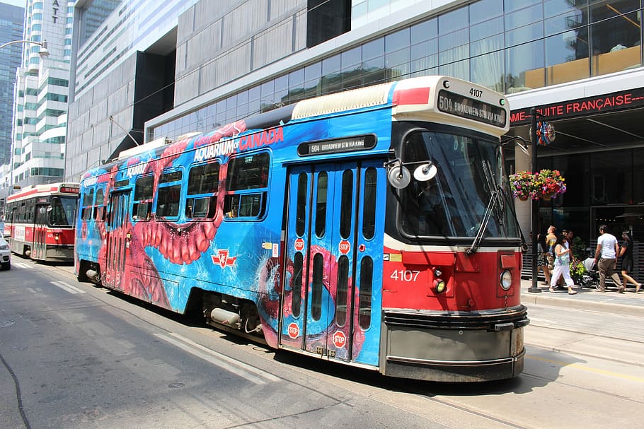 red, blue, bus, road, daytime, Streetcar, Toronto, City, urban, transportation