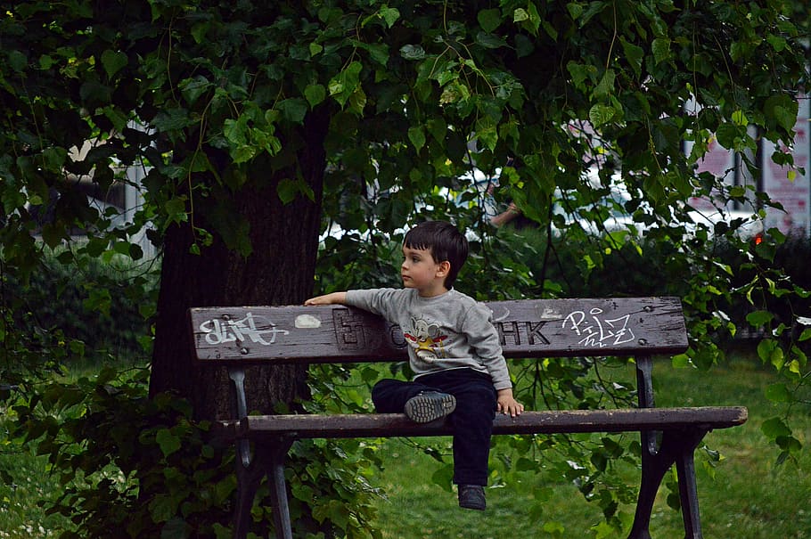 少年, 座っている, 茶色, 木製, ベンチ, 昼間, 子供, 感情, 肖像画, 自然