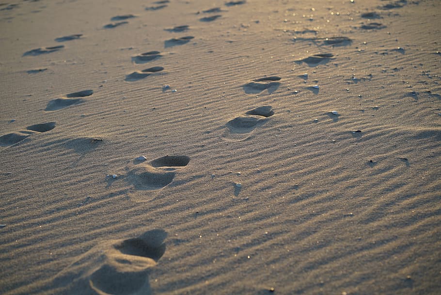 footprints on sand, beach, sea, footprint, sand, winter sea, sandy, gangwon do, republic of korea, following in the footsteps