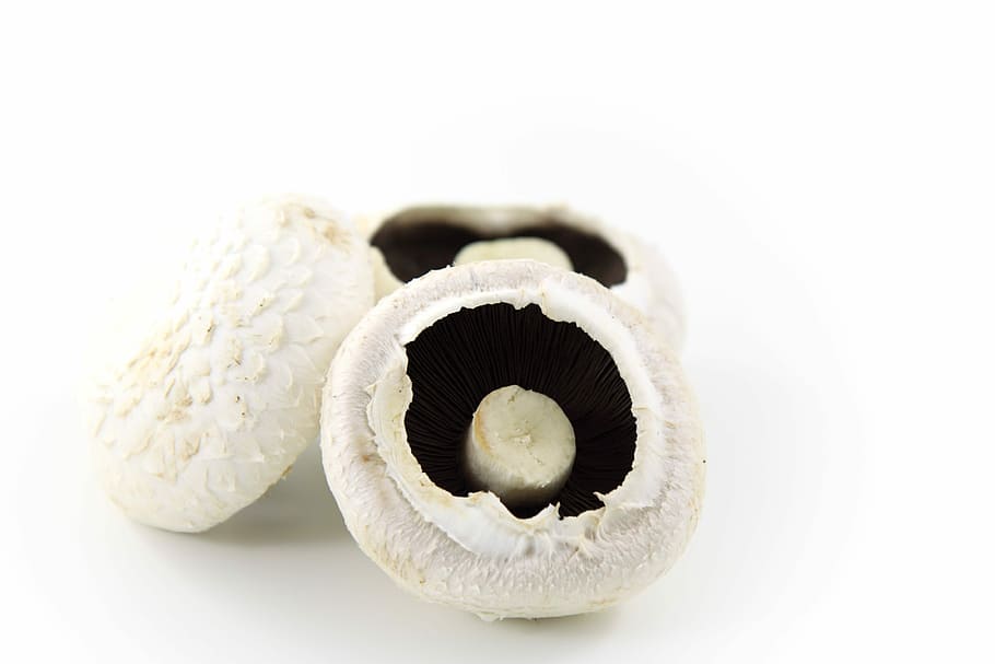 white mushrooms, Mushroom, Food, White, Background, isolated, vegetable, white background, close-up, studio shot