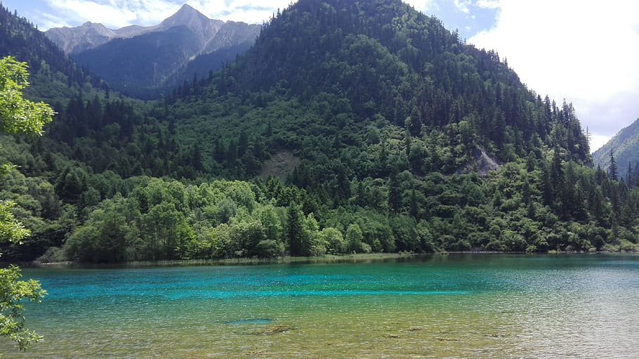 jiuzhaigou, sichuan, lake, tree, beauty in nature, scenics - nature, plant, water, mountain, tranquil scene