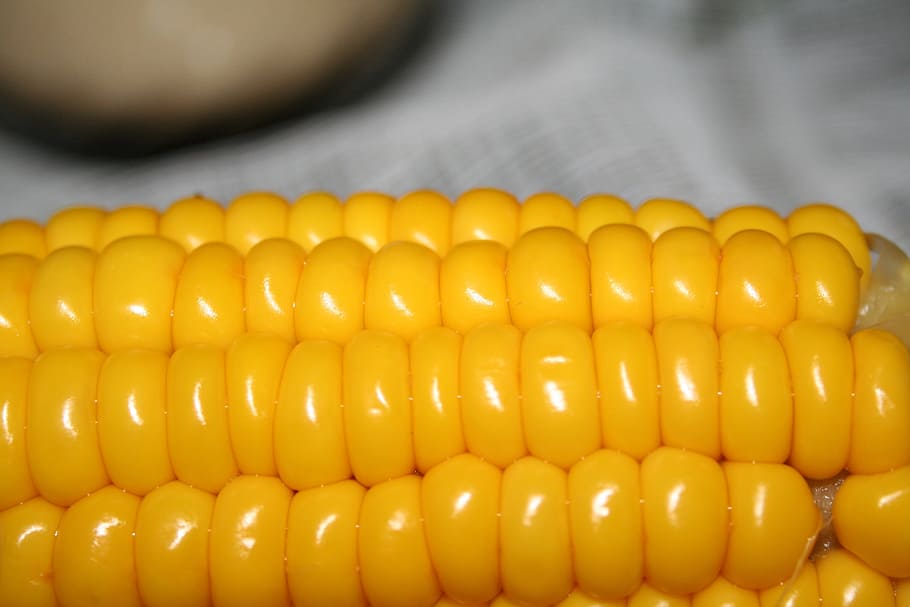 macro photography, corn, the flask, cooked, food, vegetable, food and drink, freshness, healthy eating, yellow