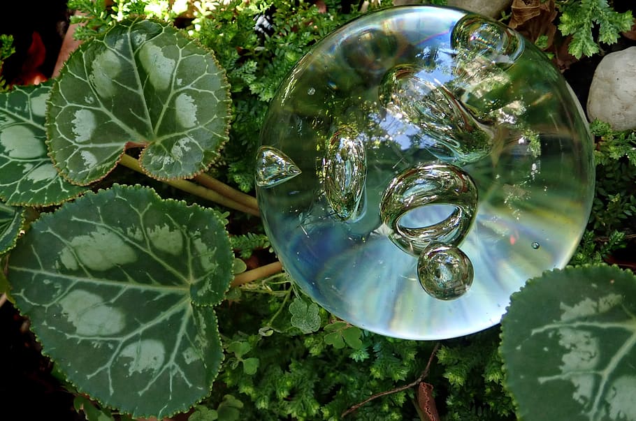 bolha de vidro, peso de papel, folhas, transparente, jardim, natureza, parte da planta, folha, planta, água
