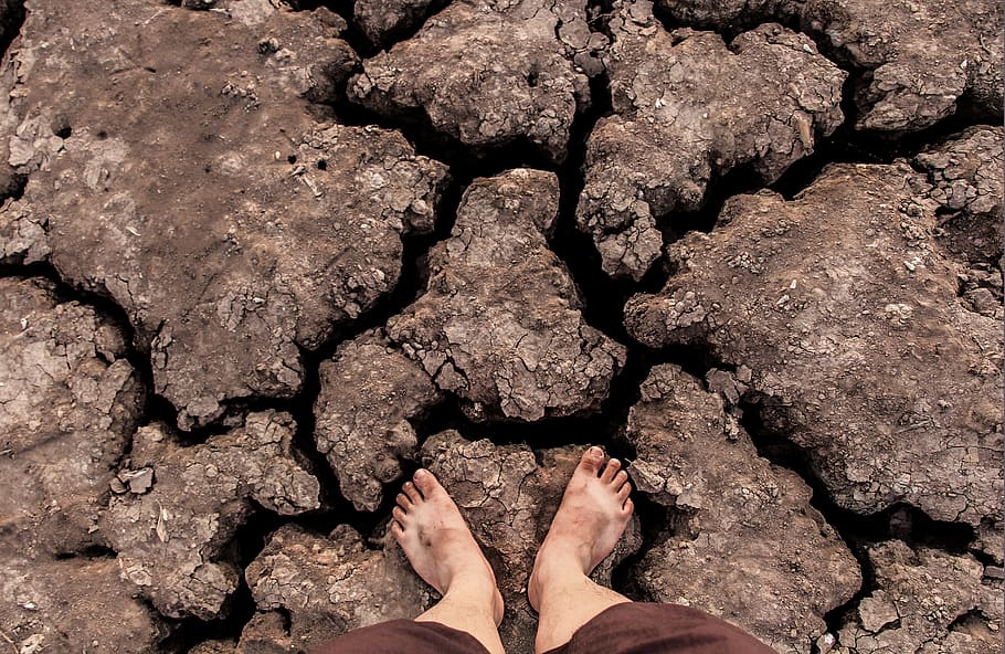 climate change, nature, people, low section, human leg, real people, personal perspective, one person, barefoot, high angle view