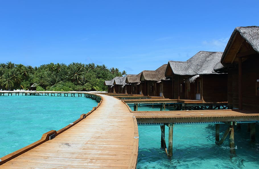 brown wooden dock, maldives, holiday, sea, water, island, summer, sky, beach bungalow, water villas