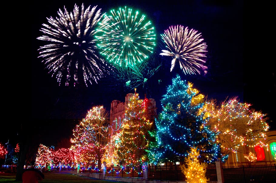 lighted, christmas trees photo, daytime, christmas, xmas, lights, christmas lights, decoration, holiday, festive