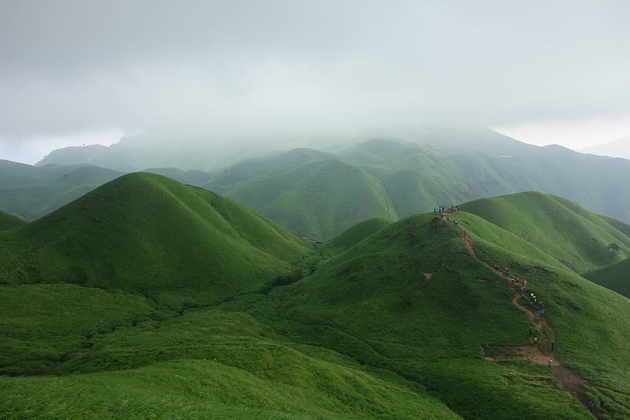 verde, colinas, nubes nimbus, wugongshan, nube, incienso, montañas, montaña, naturaleza, colina
