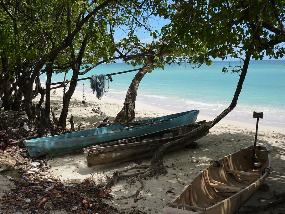 three, canoe boats, trees, seashore, jamaica, beach, boats, tree, water, nautical vessel