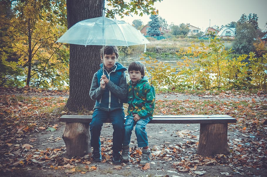 umbrella, kids, however, rain, autumn, nature, river, bench, brothers, friends