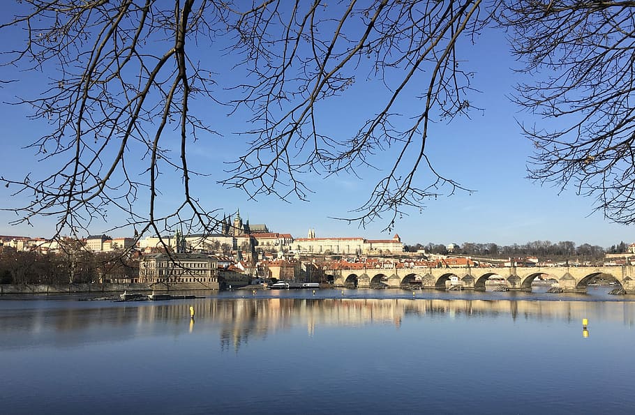 Praga, Ponte, Moldávia, República Tcheca, rio, ponte de charles, cidade, historicamente, capital, europa