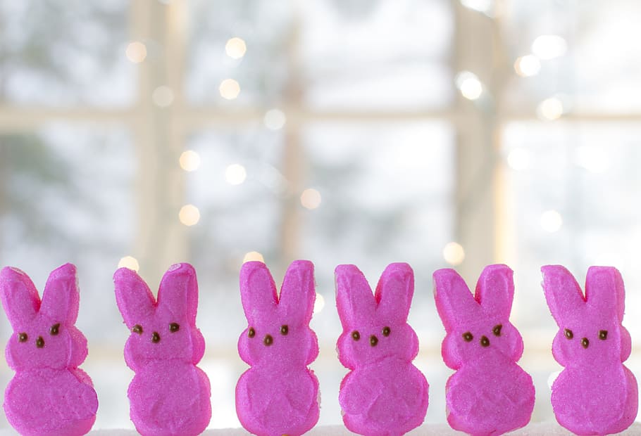 six, pink, rabbit decors, rabbit, decors, easter, bunny, peeps, pink peeps, bunnies