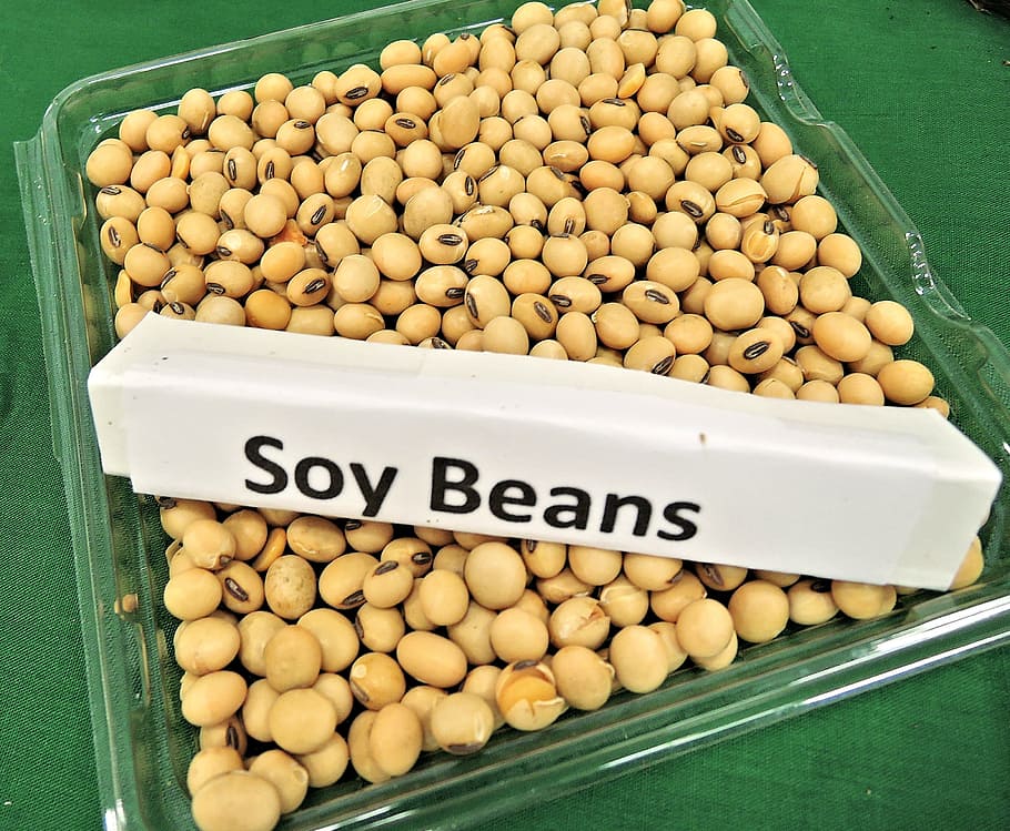 bunch, soy beans, tray, animal feed, soy oil, biodiesel fuel, renewable energy, food and drink, food, for sale