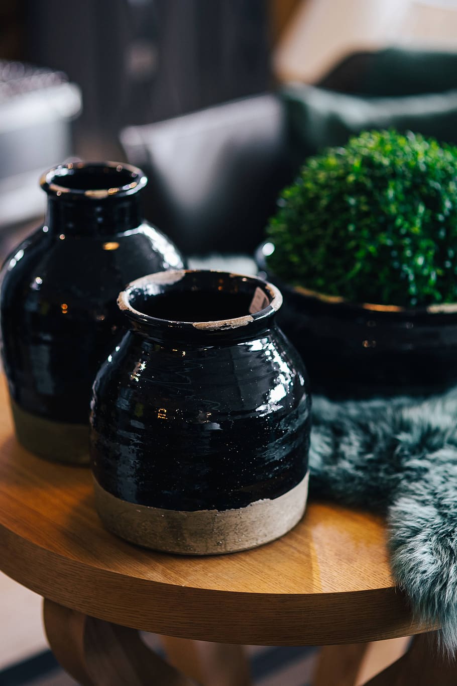 table, plant, black, rug, pot, jar, cyan, soft, ceramic, Green