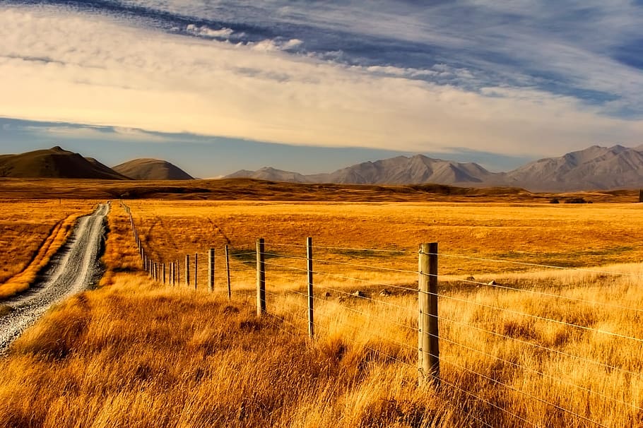 pathway, brown, grass field, white, clouds, blue, sky, landscape, mountains, fields