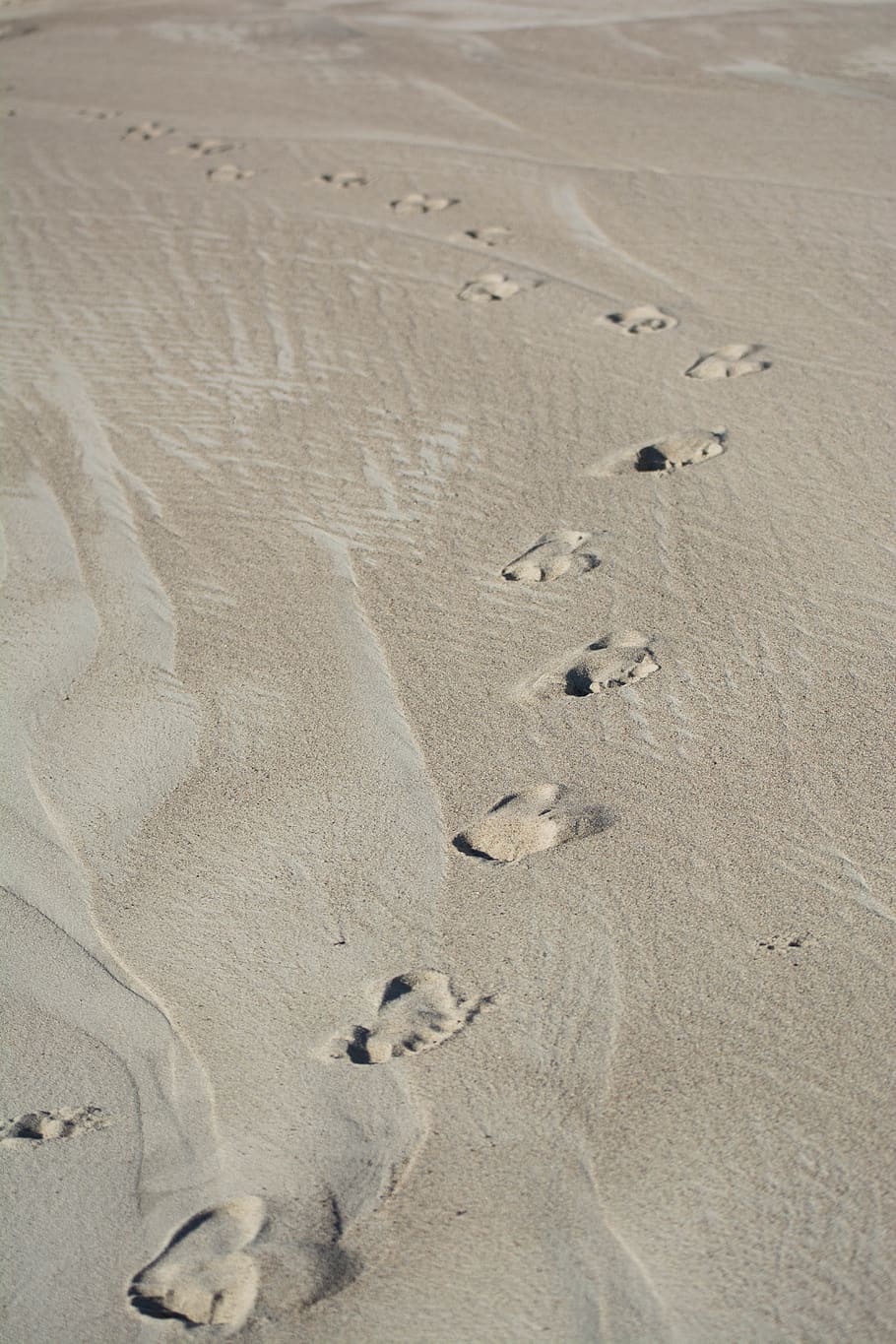 sand, beach, traces, foot prints, imprint, land, footprint, nature, mystery, track - imprint
