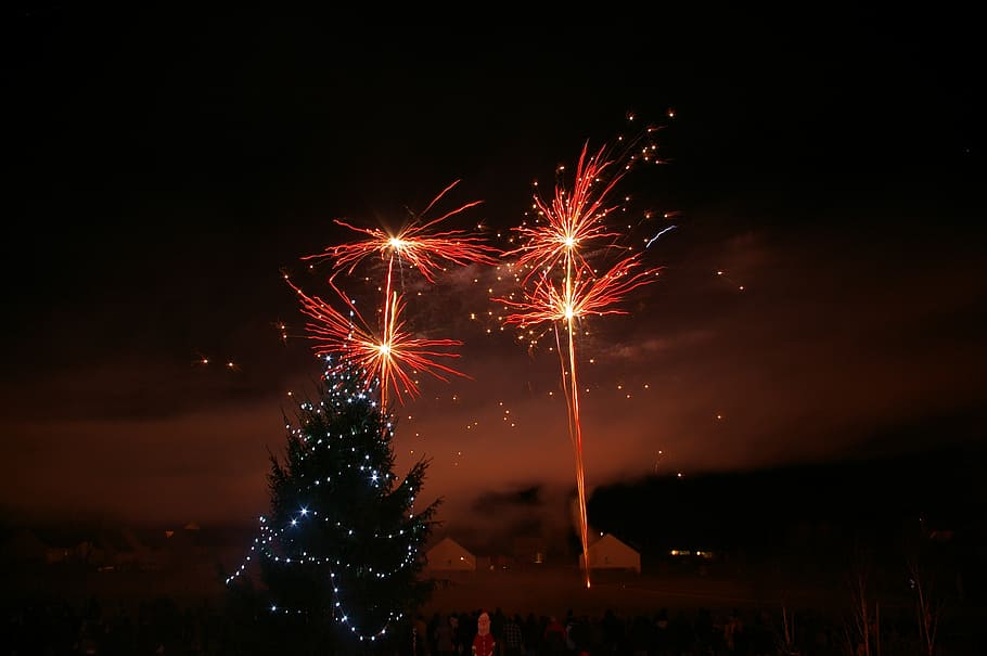 ilustração de fogos de artifício, fogos de artifício, noite, abeto, natal, decoração de natal, inverno, festival, filial de abeto, alegria
