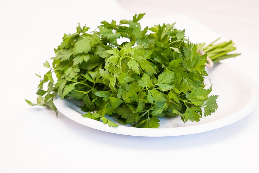 parsley, healthy, green, food, culinary herbs, vitamins, herbs, flat leaf parsley, federal government, food and drink