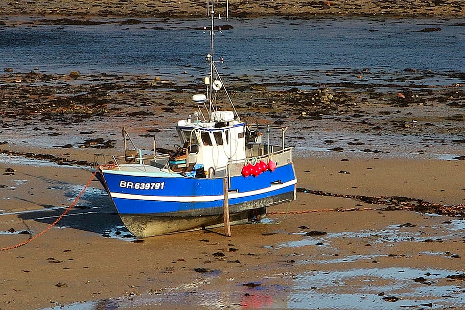 fishing, transport, nature, port, river, brittany, low tide, boat, travel, ship