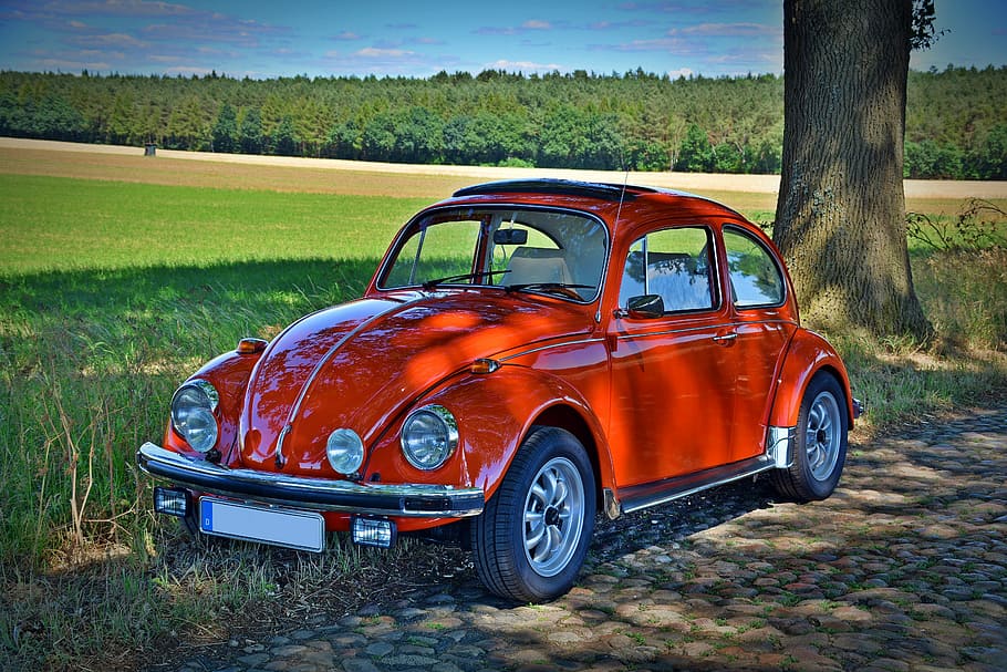 red, volkswagen beetle coupe, parked, brown, tree trunk, daytime, oldtimer, vw beetle, classic, vw