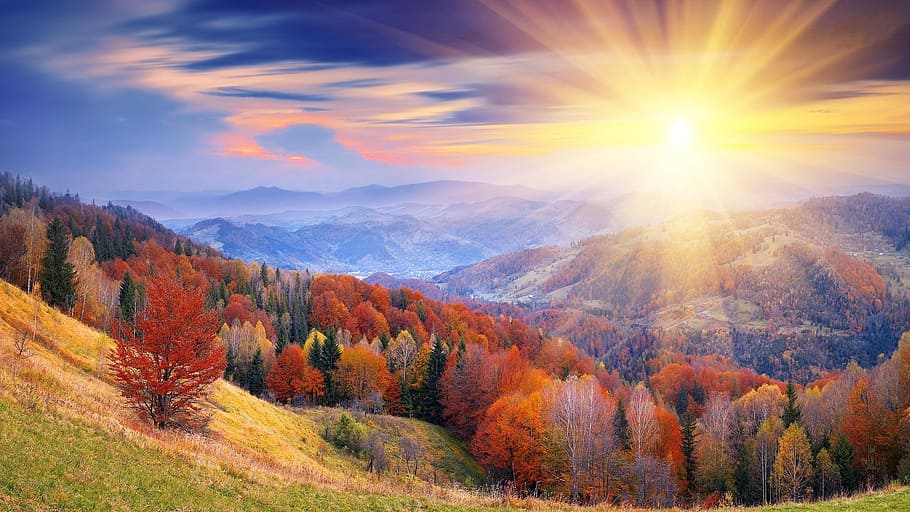 hutan di gunung, matahari terbit, gunung, lanskap, indah, pagi, langit, awan, biru, cahaya