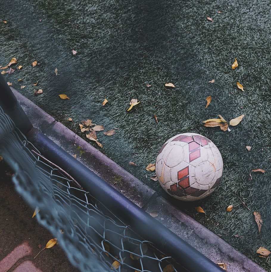white, brown, soccer ball, green, grass, fence, ball, sport, hobby, football