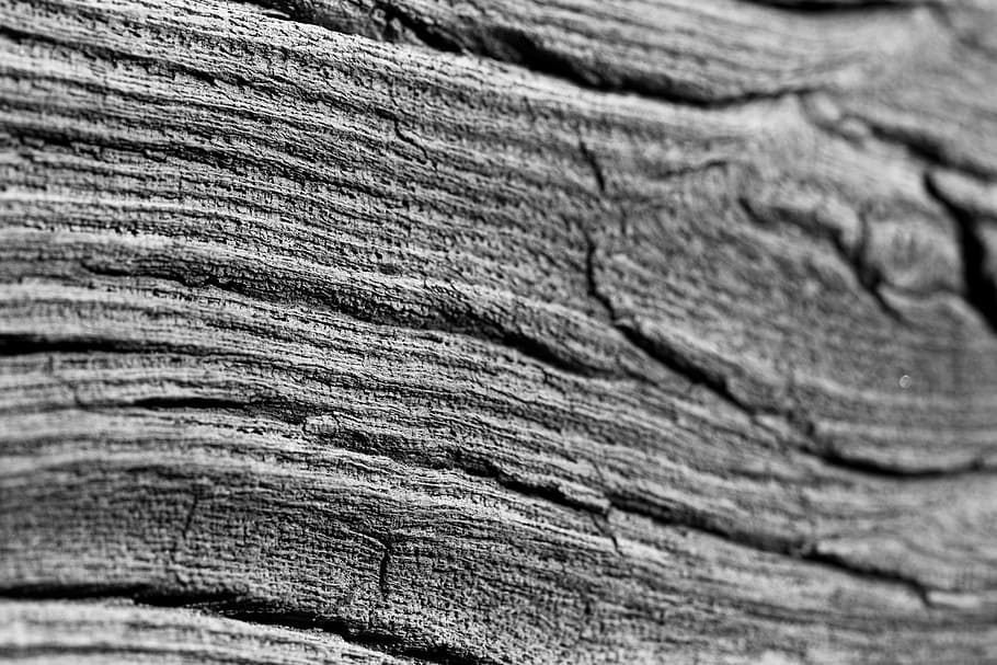 Wood, Structure, Texture, Plank, material, floor, timber, pattern, construction, surface