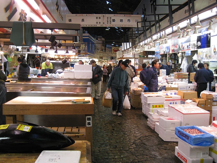 japan, tokyo, fish, market, tsukiji, tourist, attraction, japanese, group of people, men