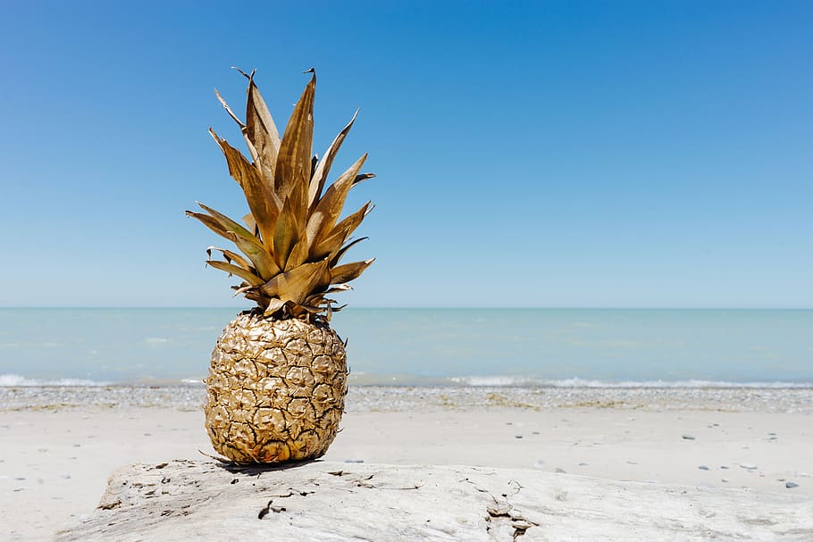 pineapple, dessert, appetizer, fruit, juice, crop, beach, ocean, sea, white